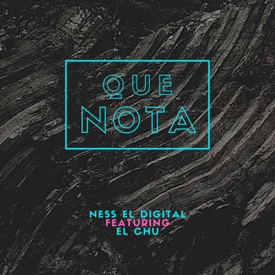 Que Nota (feat. El Chu RD) - Single