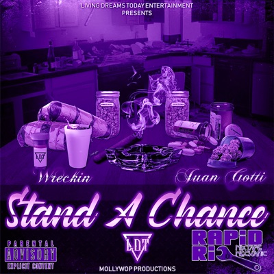 Stand a Chance (Slowed & Chopped) - Single