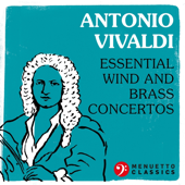 Flute Concerto in G Minor, Op. 10, No. 2, RV 439 "La Notte": VI. Allegro