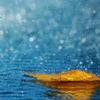 Gentle Rain for Insomnia - EP - Relaxing Spa Music & Rainfall