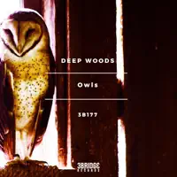 - Deep Woods — Deep Woods