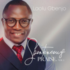 Spontaneous Praise (feat. Chigozie Wisdom) - Laolu Gbenjo