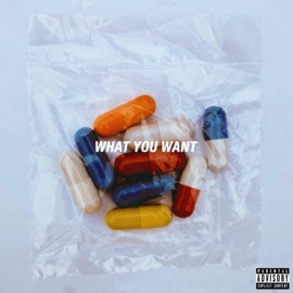 What You Want PLVTINUM