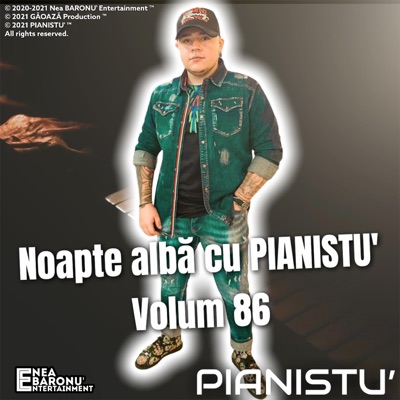 PIANISTU - Liviu Dragnea PSD