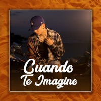 Cuando Te Imagino - Single - Soyneel