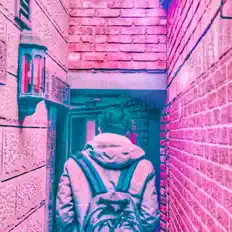 聆聽 DJ SW、觀看音樂影片、閱讀小傳、查看巡演日期等！