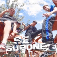 Se supone (feat. Jay D, Jeampy & Dresk) - Single - Sheera