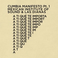 A Ti Qué Te Importa (Cumbia Manifesto Pt. 1) - Single - Mexican Institute of Sound & Las Dianas