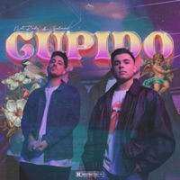 Cupido - Single - Not Kndy & Salmón