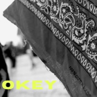 OKEY (feat. New Jerson & Bang Versus DMG) - Single - Lil Jxta