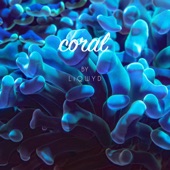 Coral artwork