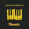 Mamela (feat. Vidasoul & DJ Nelcee) - Single