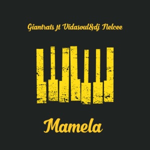 Mamela (feat. DJ Nelcee & Vidasoul)