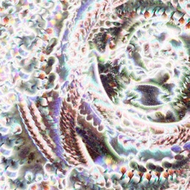 Tatehuari (feat. Edna Vazquez & Luz Elena Mendoza) Blue Cranes