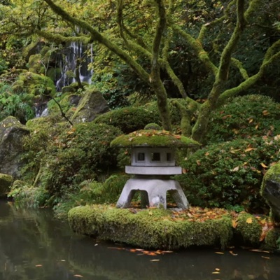 I Wish I Could Speak Like Music (feat. Carlos Muñoz) - Single