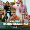 TikTok Instagram