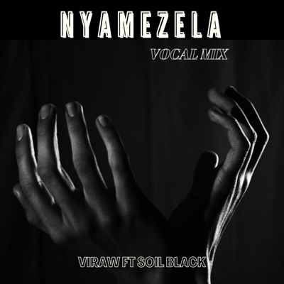 Nyamezela (feat. Soil Black) - Single