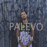 Palevo - Single - Рик Рэндом