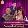 Am O Mandruta Frumoasa - Single