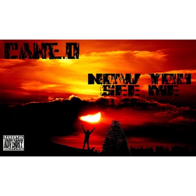 Now You See Me - Single
