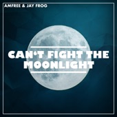 Can't Fight the Moonlight artwork