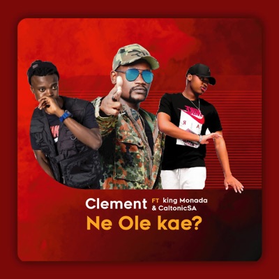 Ne Ole Kae? (feat. King Monada & Caltonic SA) - Single