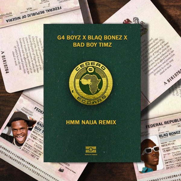 Hmm [Remix] [Remix] [feat. Blaqbonez & Bad Boy Timz] - Single