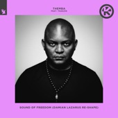 Sound of Freedom (feat. Thakzin) [Damian Lazarus Extended Re-Shape] artwork