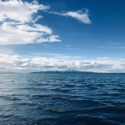 Flow (feat. MykMilli & C.L. Fondal) - Single