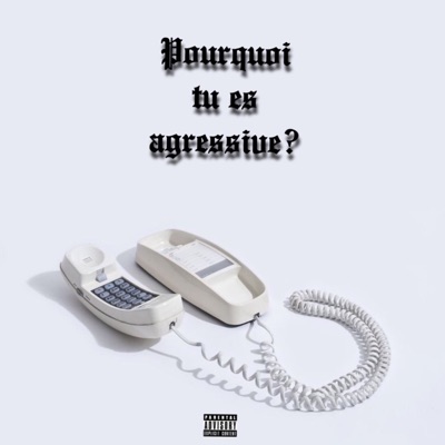 Pourquoi tu es agressive? (Remix) [feat. The Mrs & Mister Dyd] - Single