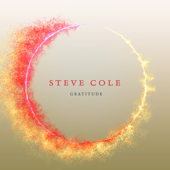 Gratitude - Steve Cole