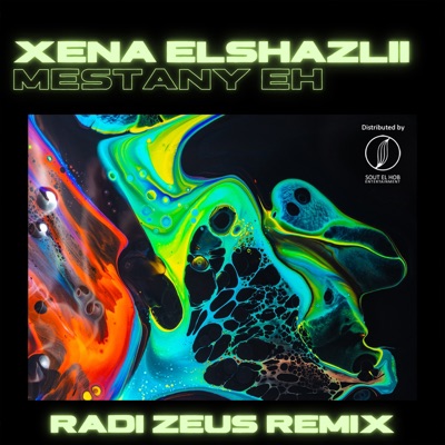 Mestany Eh (feat. Radi Zeus) [Radi Zeus Remix] - Single