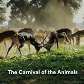 The Carnival of the Animals artwork