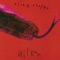 Halo of Flies - Alice Cooper lyrics