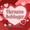 Ich hab nie aufgehört dich zu lieben