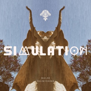 Simulation