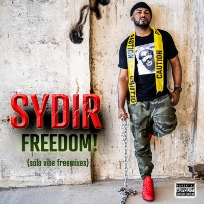 Freedom! (Solo Vibe Freemix) - EP