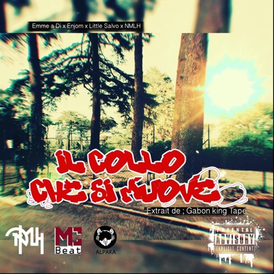 Il Collo Che Si Muove (feat. NMLH, EmmeADi, Little Salvo & Enjom) - Single