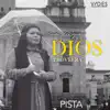 Zulmy Mejia - Dios Proveerá (Pista)