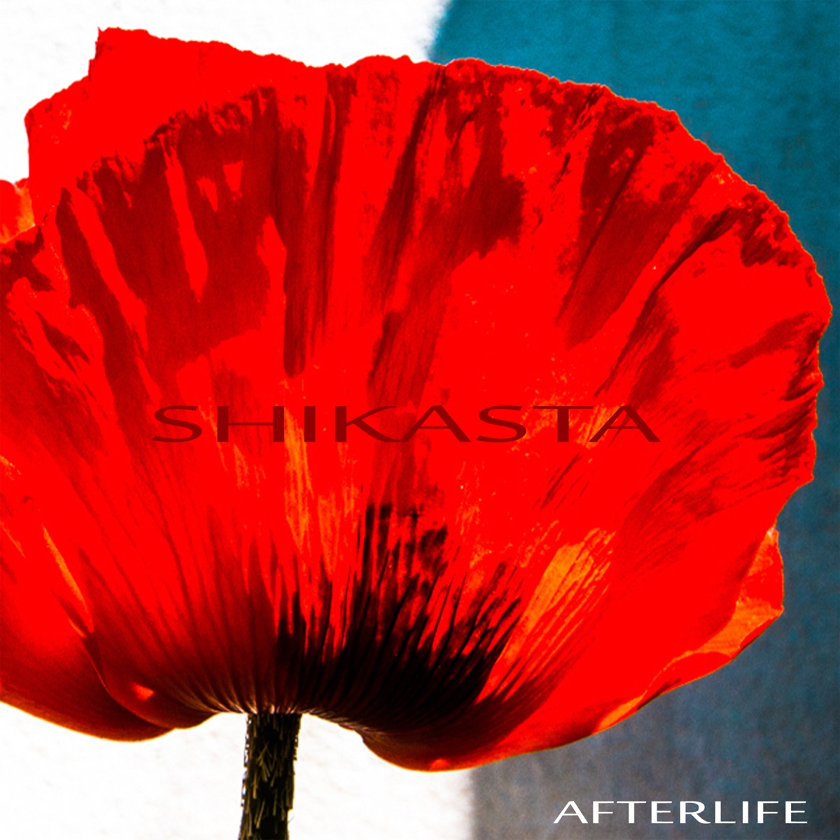  The Afterlife Lounge (Remastered) : Afterlife: Digital Music