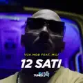 12 sati