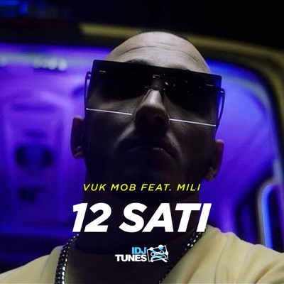 12 Sati (feat. Mili) - Single