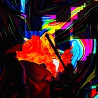 Anarcho-Nihilism - Single - Mofidelity