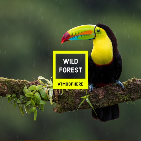 Wild Forest Atmosphere - Single
