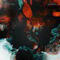Life in a Pond