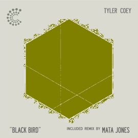 Black Bird (Mata Jones Remix) Tyler Coey