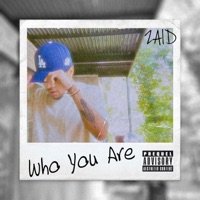Who You Are - Single - Zaid