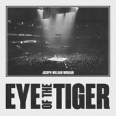 Eye of the Tiger artwork