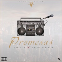 Promesas (feat. Martin Producer) - Single - Raldy Rm