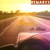 Summer Breeze (feat. Blaze) - Single